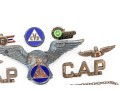 Collection Of Sterling Silver Pins 