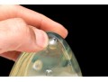 Robert Eickholt (American [OH], B. 1947) Duo Of Art Glass Paperweights