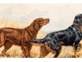 Paul Wood Pencil Signed Etching 
