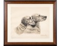 Leon Danchin? Ltd Ed Lithograph On Paper