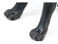Resin Figure Of A Seated Labrador Dog