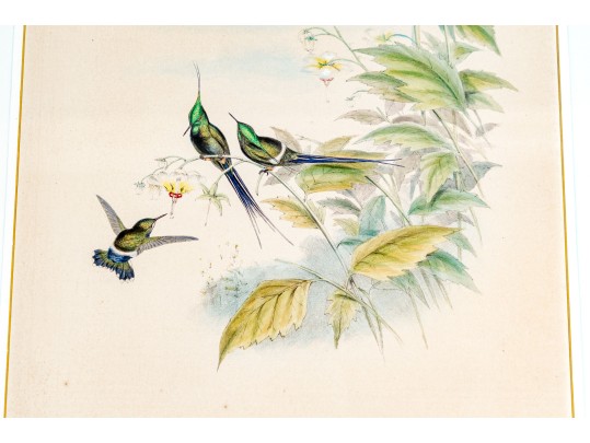 Pair Of Antique Hand-Colored Prints