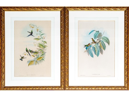 Pair Of Antique Hand-Colored Prints