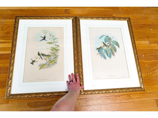 Pair Of Antique Hand-Colored Prints