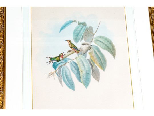 Pair Of Antique Hand-Colored Prints
