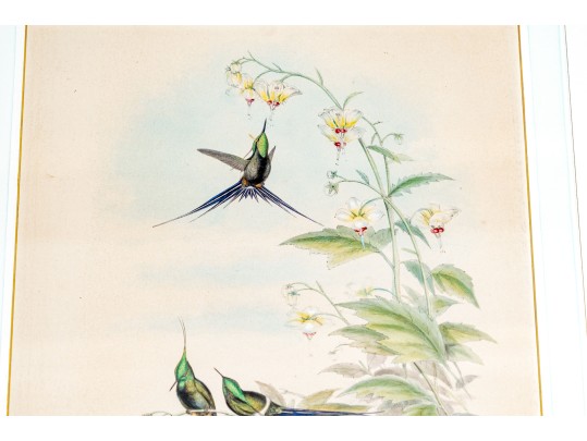 Pair Of Antique Hand-Colored Prints