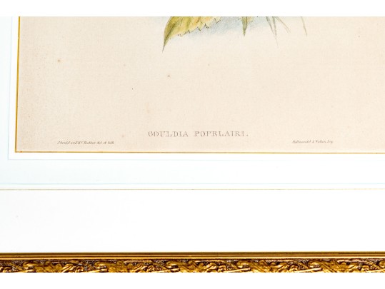 Pair Of Antique Hand-Colored Prints