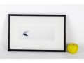 K. Kelly Pencil-Signed Print Of A Snowy Egret