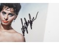 Signed Photograph Of Sophia Loren