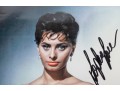Signed Photograph Of Sophia Loren