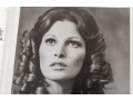 Collection Of Photographs, Some Autographed Incl. Raquel Welch, Kim Novak, Betty Grable, And More