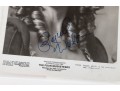 Collection Of Photographs, Some Autographed Incl. Raquel Welch, Kim Novak, Betty Grable, And More