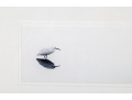 K. Kelly Pencil-Signed Print Of A Snowy Egret
