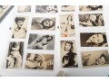 Collection Of Vintage Photographic Cards Of Actresses