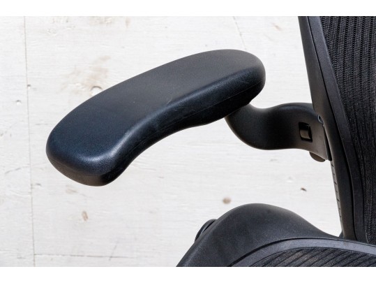 Herman Miller Ergonomic Office Chair