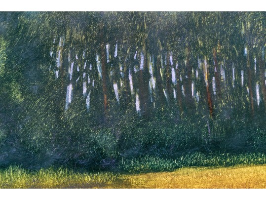 Oil On Canvas, Golden Fields