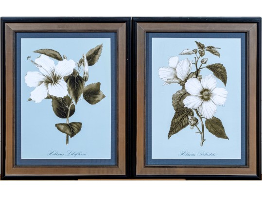 Pair Of Framed Botanical Prints, 