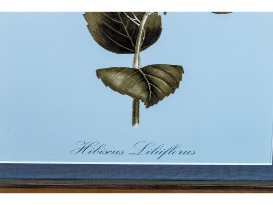 Pair Of Framed Botanical Prints, 