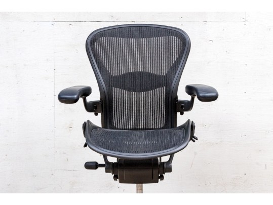 Herman Miller Ergonomic Office Chair
