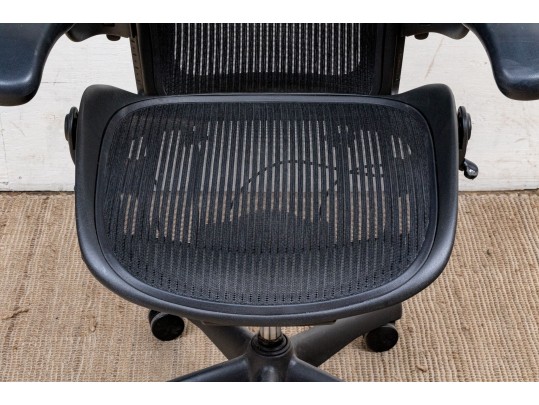 Herman Miller Ergonomic Office Chair