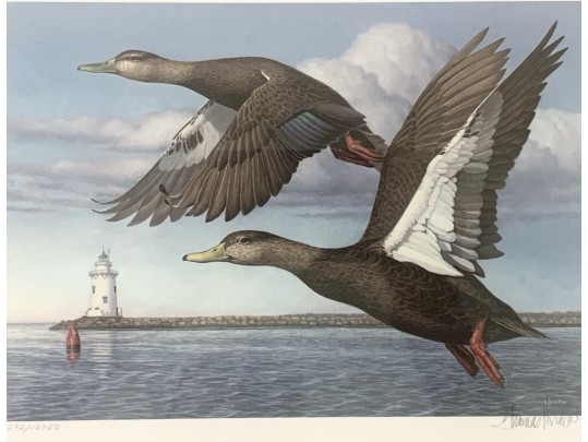 Rob Leslie Signed & Numbered 1993 1994 Connecticut Duck Stamp Framed Prints