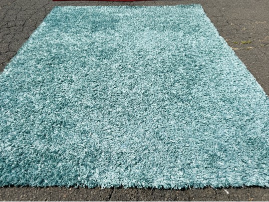 Jaipur 100% Polyester Shag Carpet, 9'-6