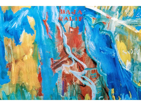 After Jasper Johns (American, NY, B.1930) Framed Color Print, 