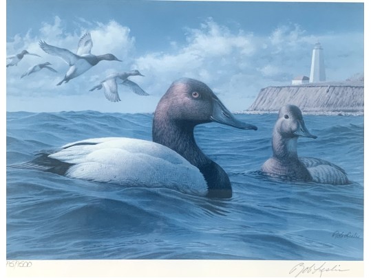 Rob Leslie Signed & Numbered 1993 1994 Connecticut Duck Stamp Framed Prints
