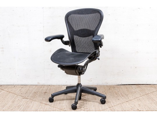 Herman Miller Ergonomic Office Chair