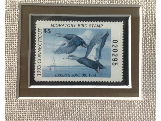 Rob Leslie Signed & Numbered 1993 1994 Connecticut Duck Stamp Framed Prints