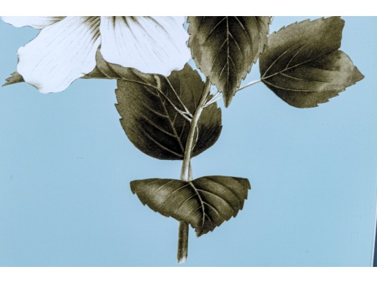 Pair Of Framed Botanical Prints, 