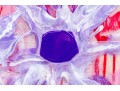 John Fatse (American, B. 20th C.) Acrylic & Resin On Board, Color Burst