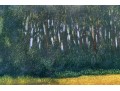 Oil On Canvas, Golden Fields