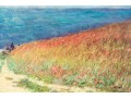 After Claude Monet's 