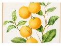 Antique 19th C. Assembled Set Of Three Hand-colored Botanicals