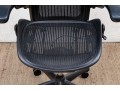 Herman Miller Ergonomic Office Chair