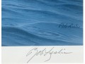 Rob Leslie Signed & Numbered 1993 1994 Connecticut Duck Stamp Framed Prints