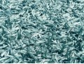 Jaipur 100% Polyester Shag Carpet, 9'-6