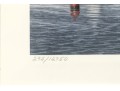 Rob Leslie Signed & Numbered 1993 1994 Connecticut Duck Stamp Framed Prints
