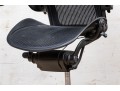 Herman Miller Ergonomic Office Chair