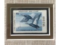 Rob Leslie Signed & Numbered 1993 1994 Connecticut Duck Stamp Framed Prints