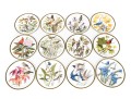 Set Of 12 Franklin 