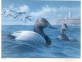 Rob Leslie Signed & Numbered 1993 1994 Connecticut Duck Stamp Framed Prints