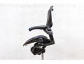 Herman Miller Ergonomic Office Chair