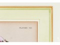 W.G.S De Pammemaeker, 1870 Color Book Lithograph, Floral Botanical