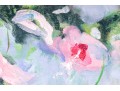 Oil On Board, Pink Waterlilies
