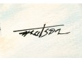 Signed Oil On Canvas, Slalom Racer