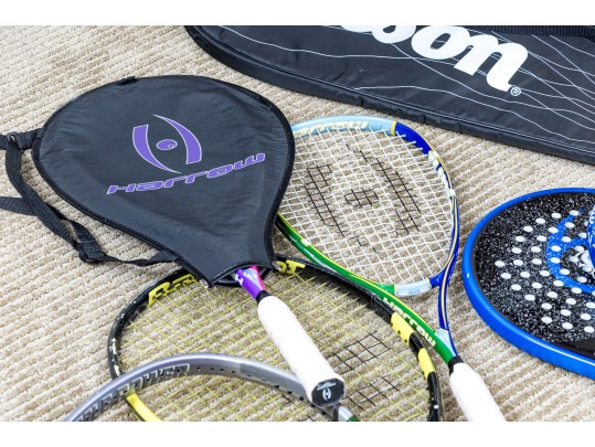 Assembled Collection Of Racket Sports Paddles