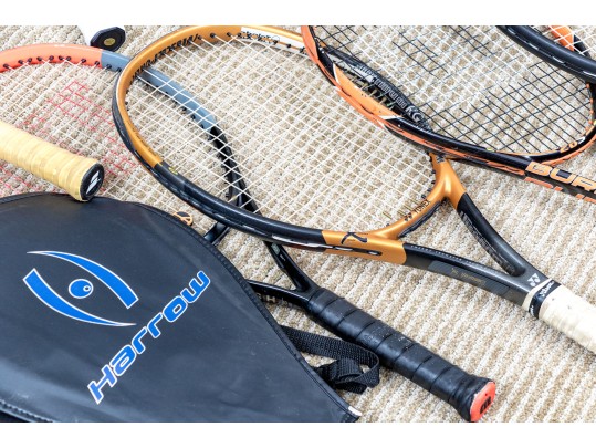 Assembled Collection Of Racket Sports Paddles