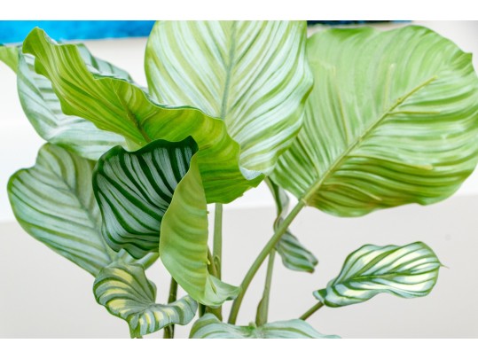 Five Piece Faux Plant And Planters Lot